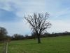 da ist wohl was schiefgegangen :-)